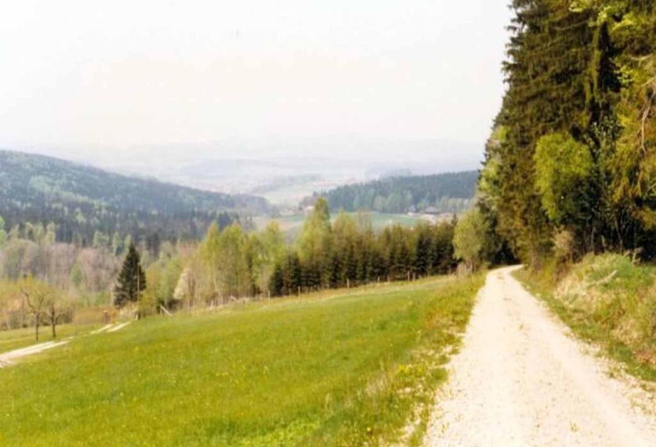 Ferienpension Posthof Waldmunchen Bagian luar foto